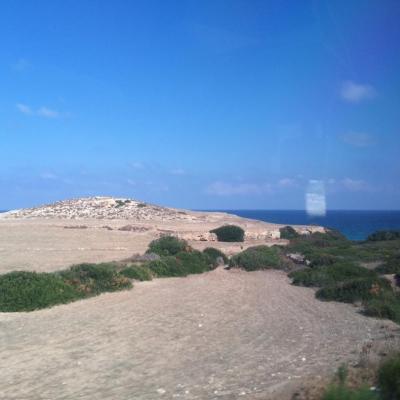 Img 20200320 Wa0174